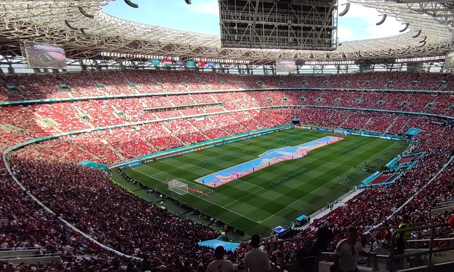 这一案例证 这一案例证