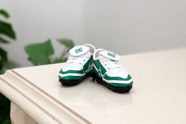 参加亚冬会 参加亚冬会