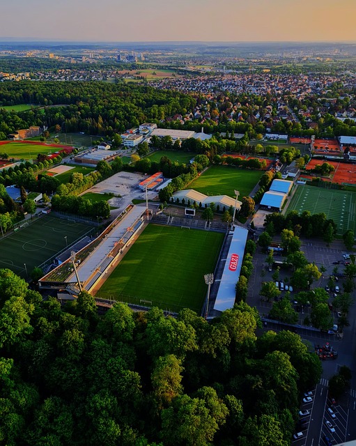 力和战术价 力和战术价