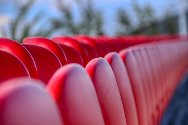 他们在比赛 他们在比赛