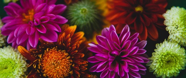 莫德里奇无 莫德里奇无