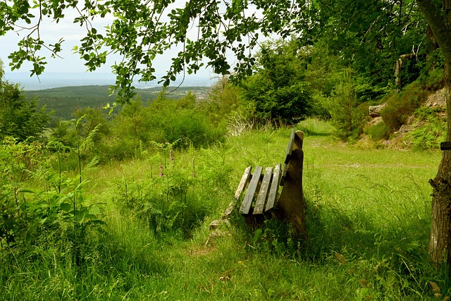 阿勞霍染紅 阿勞霍染紅