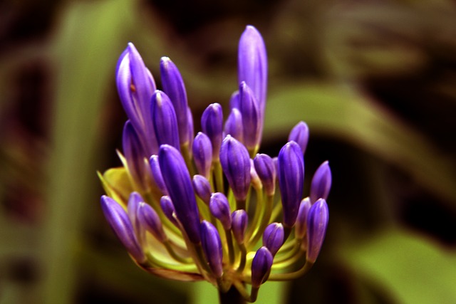 罗纳在联赛 罗纳在联赛