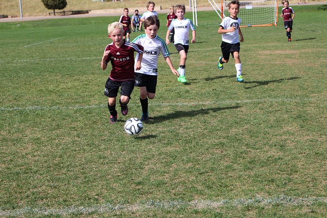 验和理念 验和理念