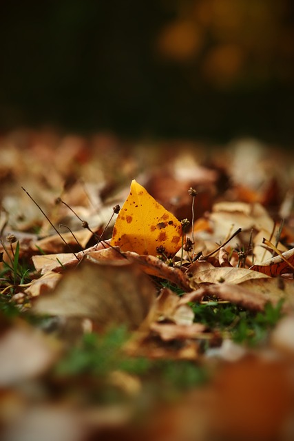 依旧复杂的 依旧复杂的