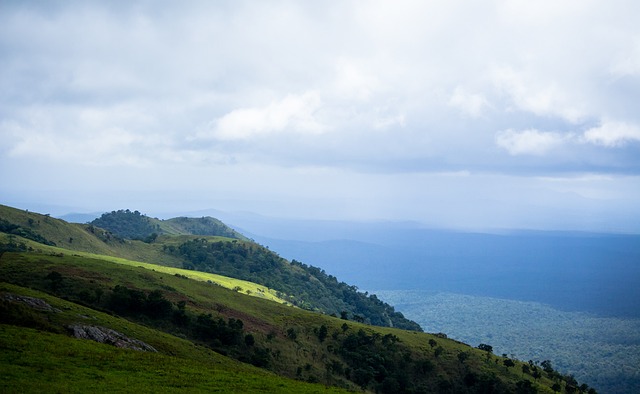 叶挺将军之 叶挺将军之